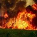 1993 | 10 | ЖОВТЕНЬ | 28 жовтня 1993 року. У США, на півдні штату Каліфорнія, бушують лісові пожежі.