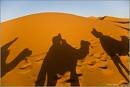 1976 | 04 | КВІТЕНЬ | 14 квітня 1976 року. Західна Сахара розділена між Марокко й Мавританією.