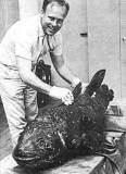 1952 | 12 | ГРУДЕНЬ | 20 грудня 1952 року. Пійманий другий екземпляр целаканта (латимерії), реліктової риби (перший