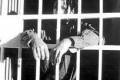 1997 | 03 | БЕРЕЗЕНЬ | 23 березня 1997 року. У північноірландській в'язниці Мейз запобігли втечі членів забороненої Ірландської