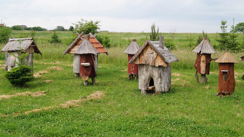 День пасічника