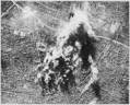 1863 | 08 | СЕРПЕНЬ | серпень 1863 року. Бомбардування англійською ескадрою японського міста Кагосіма.