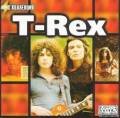 1974 | 05 | ТРАВЕНЬ | 20 травня 1974 року. Група T. Rex зайняла верхній рядок британського хіт-параду з піснею Metal Guru.
