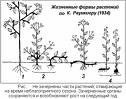 1887 | 03 | БЕРЕЗЕНЬ | 02 березня 1887 року. Помер Август Вільгельм ЕЙХЛЕР.