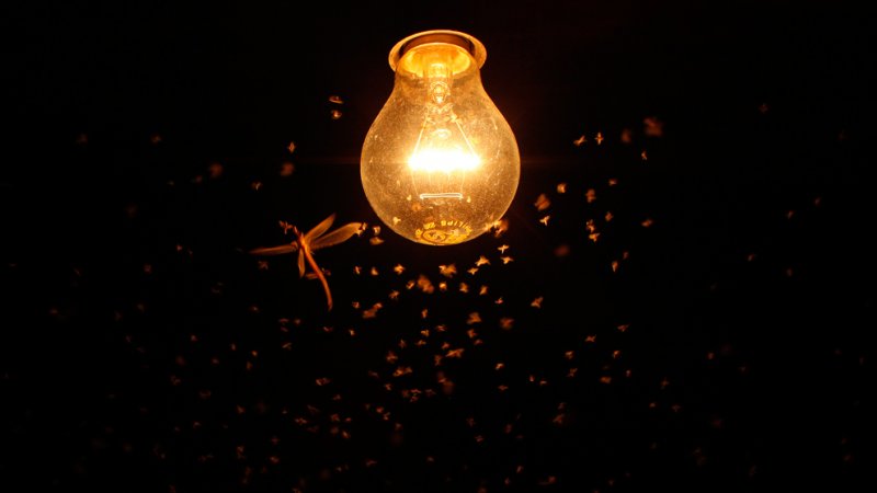 27 січня 1880 року. Томас Едісон запатентував електричну лампу розжарювання.
